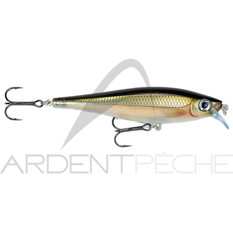 Poisson nageur RAPALA BX Minnow 10