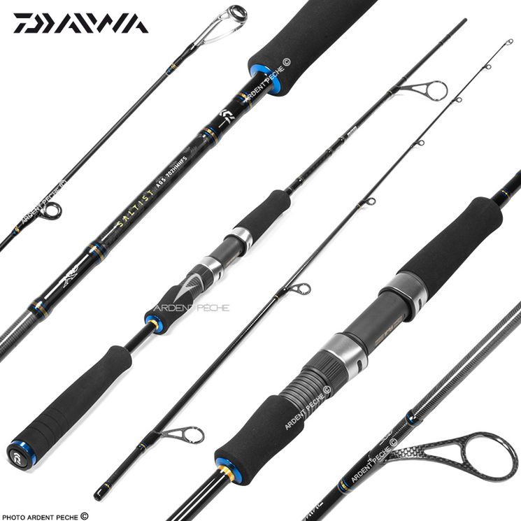 Canne DAIWA Saltist AGS