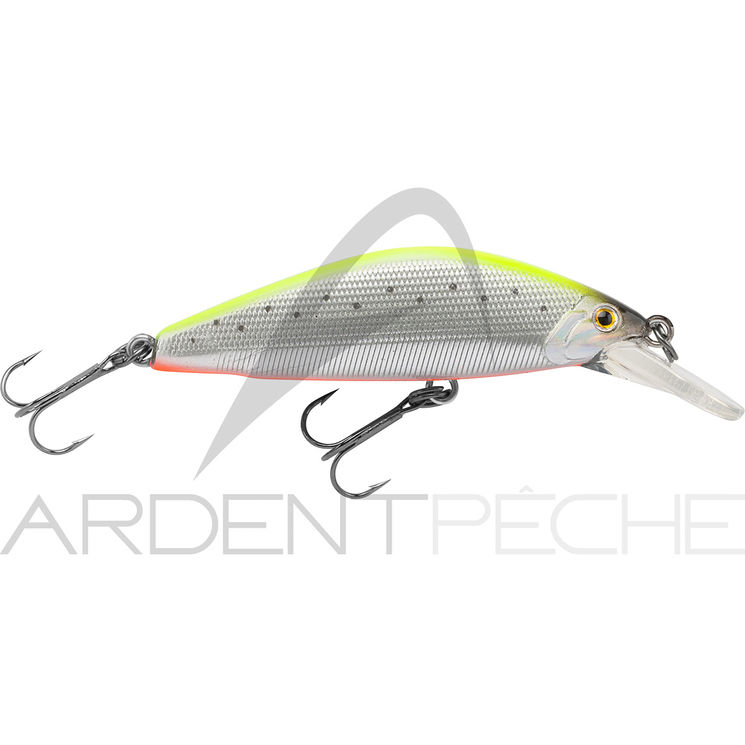 Poisson nageur SMITH D Concept 48 MD