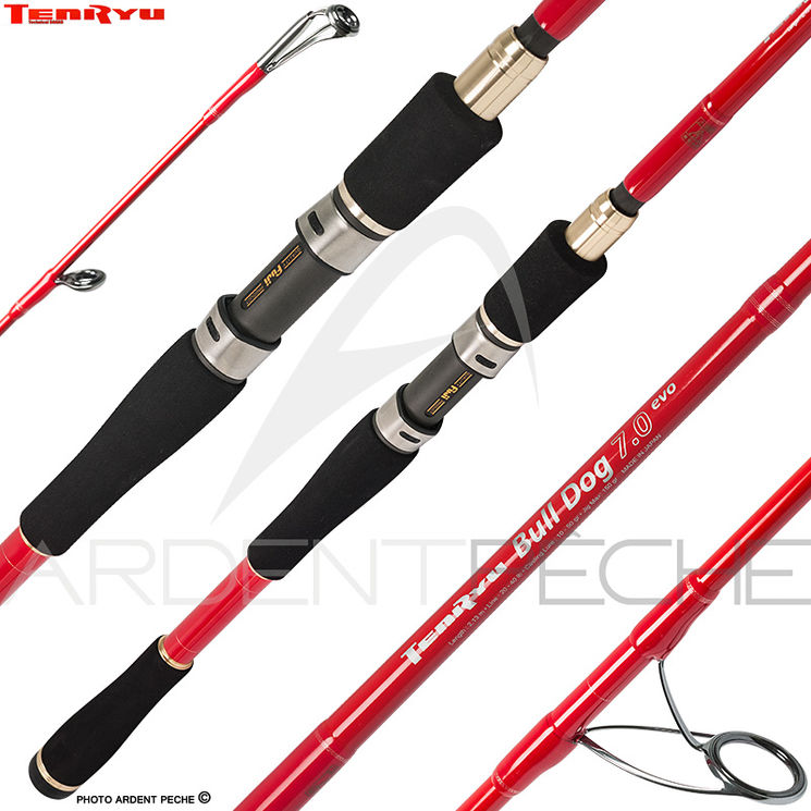 Canne TENRYU Bull dog 7.0 evolution