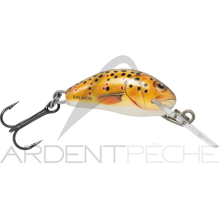 Poisson nageur SALMO Hornet 2 S