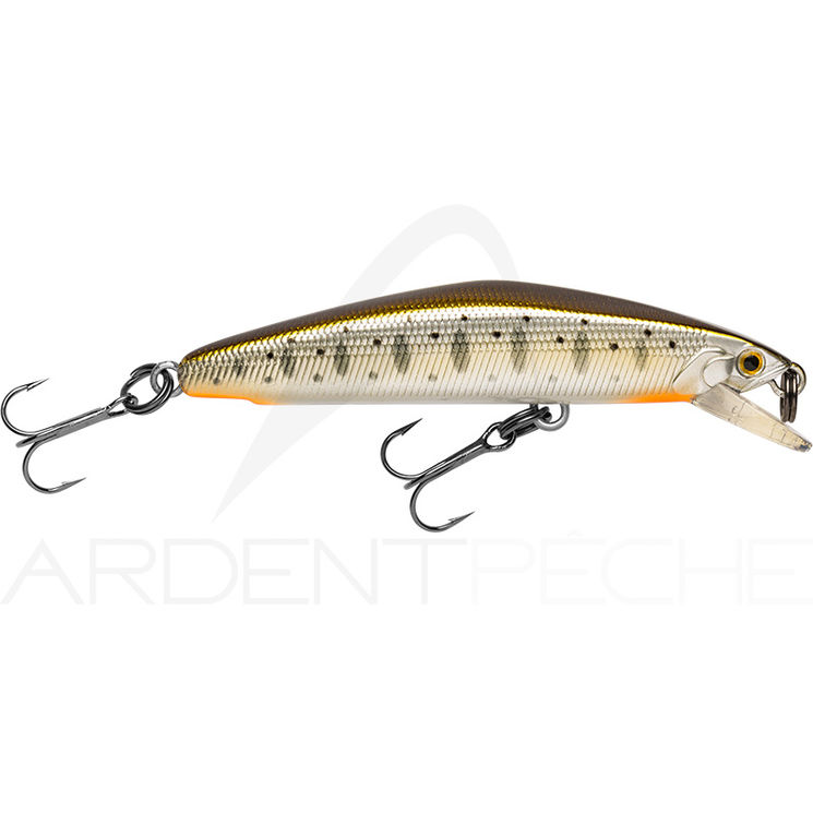 Poisson nageur SMITH F Select 51