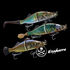 Swimbait BONE Espybarra 176 F