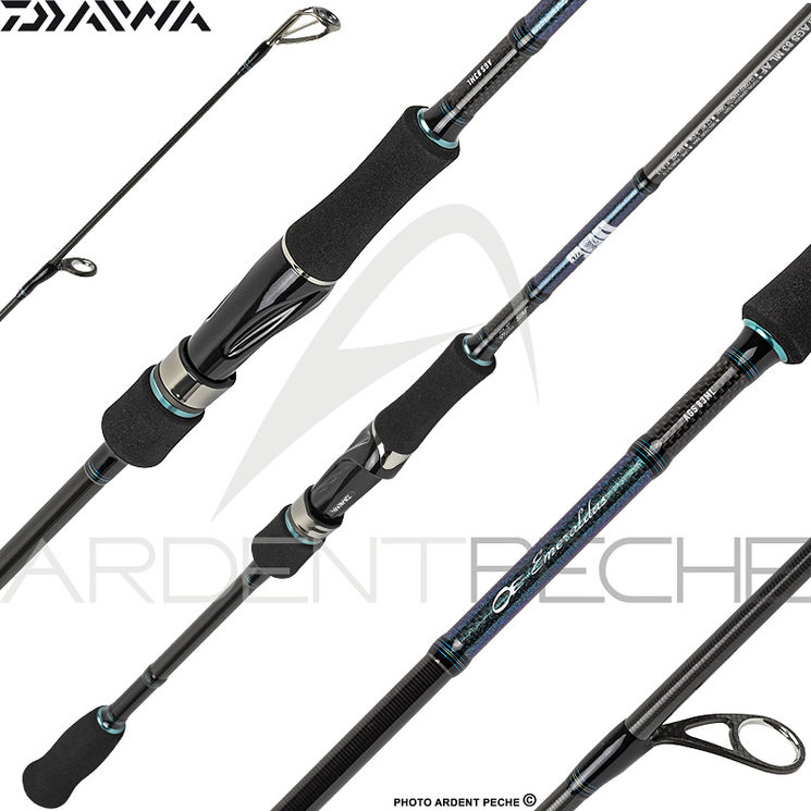 Canne DAIWA Emeraldas AGS