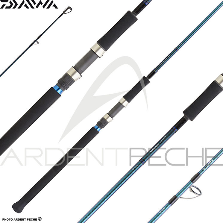 Canne DAIWA Grandwave offshore