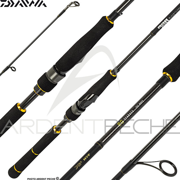 Canne DAIWA BG Seabass