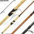 Canne DAIWA Exceler toc