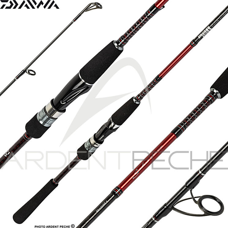 Canne DAIWA Saltist seabass