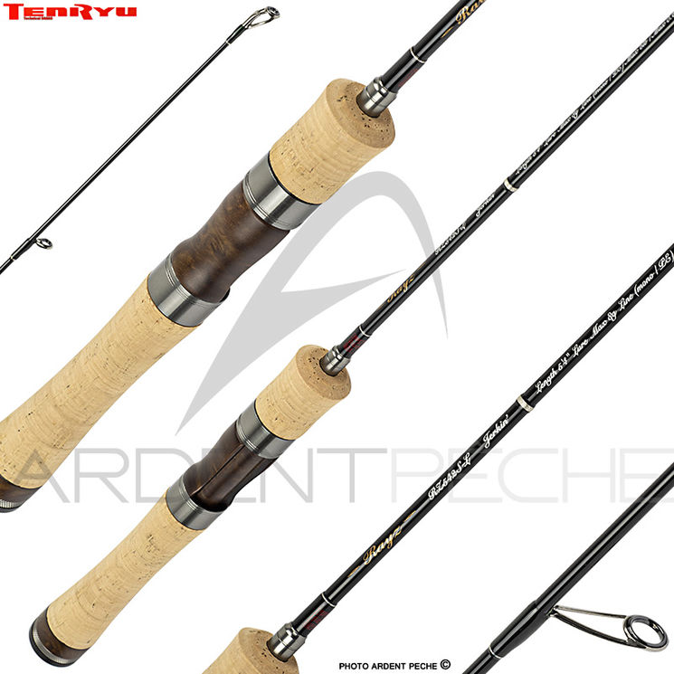 Canne TENRYU Rayz 410 2S UL