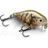 Crankbait RAPALA X Light crank shallow runner 03