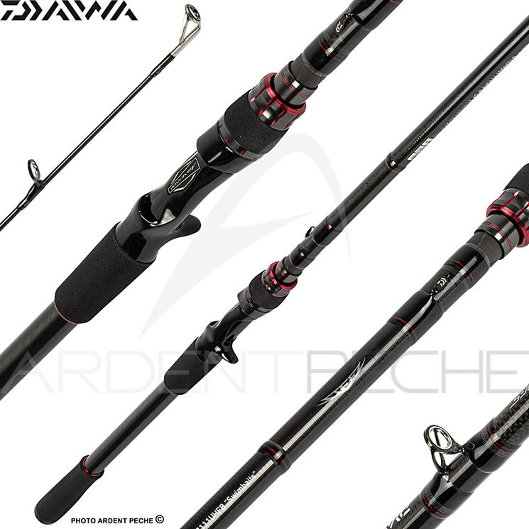 Canne casting DAIWA Steez AGS 21