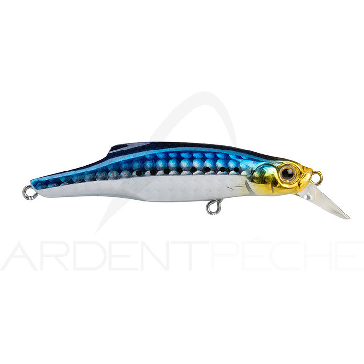 Poisson nageur JACKSON Pin tail 20