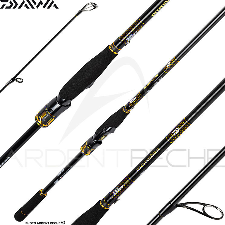 Canne spinning DAIWA Morethan branzino expert