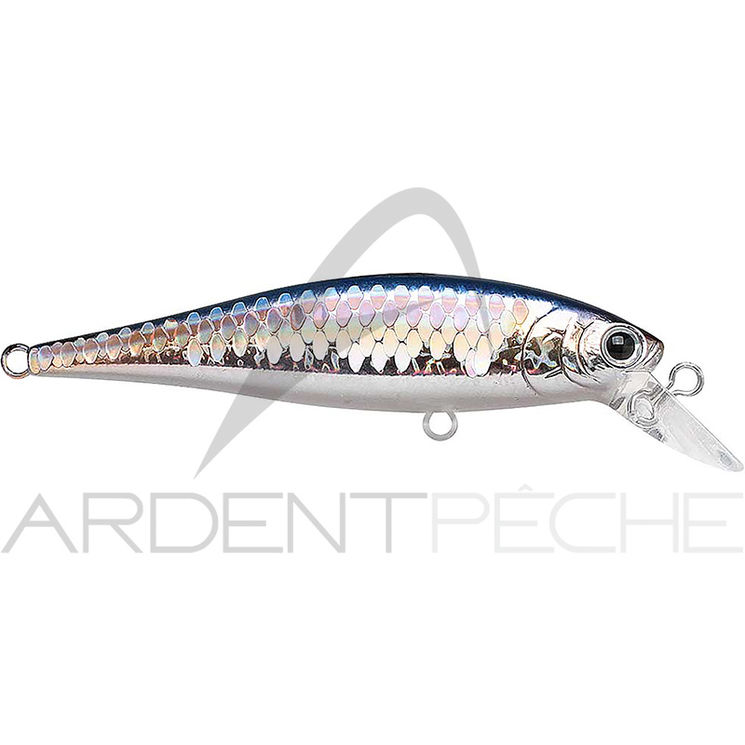 Poisson nageur LUCKY CRAFT B Freeze Pointer 65 SP